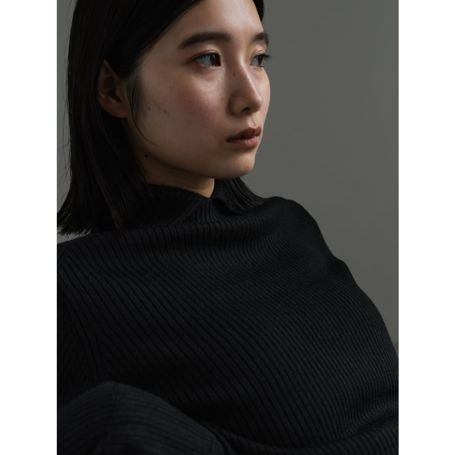 DOUBLE RIB TURTLE/Black